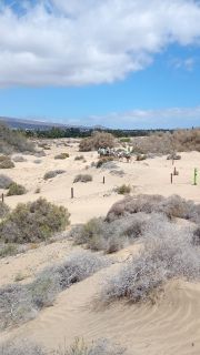 GC-Camello Safari (Maspalomas)-50.jpg
